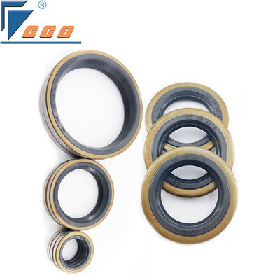 Sigilli per autoveicoli a gas con prestazioni di tenuta superiori per motori